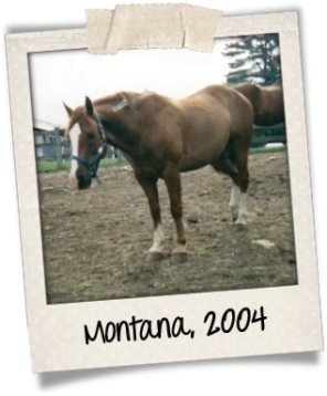 Montana polaroid 2004